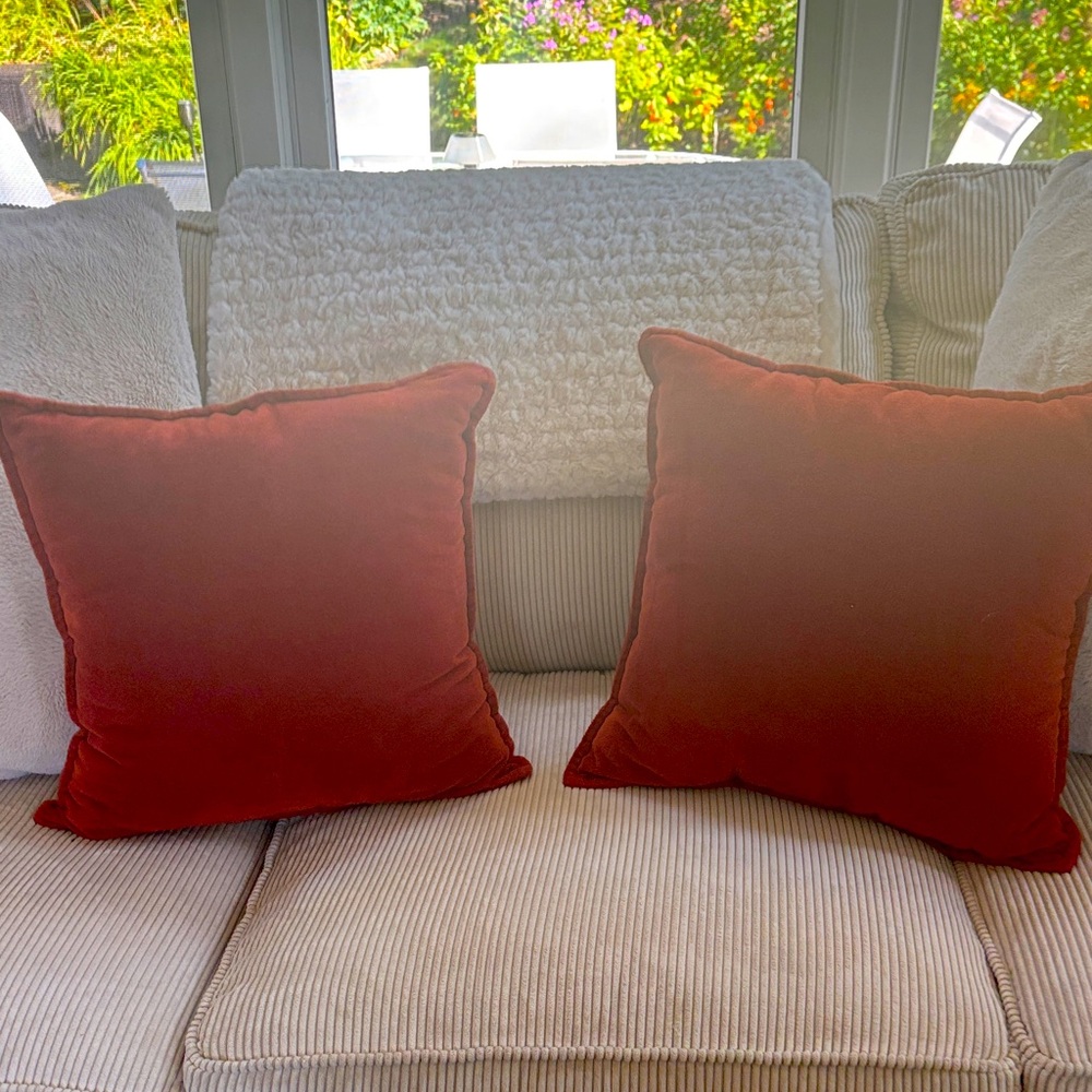 Crate&Barrel Velvet Fall Pillows